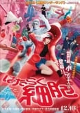 Cells at Work! (Live Action)